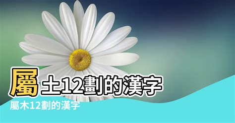 12劃的字屬木